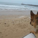 DSCN0971 (blog)