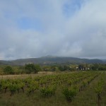 DSCN1391 (blog)