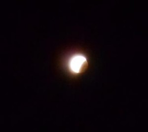 DSCN1428 (blog)