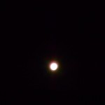DSCN1449 (blog)
